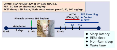 ACTH 유발 수면장애 동물모델 개발 개념도. ACTH의 투약으로 수면장애 유발 랫드에서 복령 추출불의 섭취 농도에 따른 수면 잠복기, REM/non-REM, 각성시간을 EEG 모니터를 통해 측정