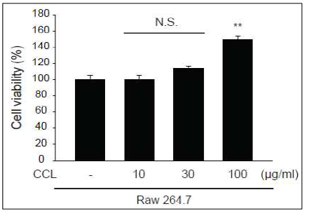 구실잣밤 잎 추출물의 Raw 264.7 cell 세포독성 실험 결과