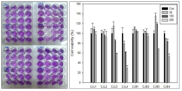 생달나무 잎, 가지 추출물들의 B16F10 cell 세포독성 확인 결과