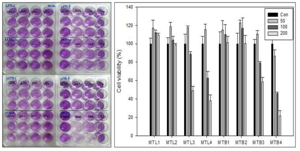 후박나무 잎, 가지 추출물들의 B16F10 cell 세포독성 확인 결과