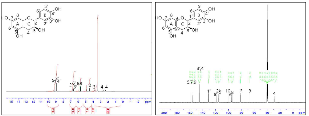 Sample B 1H, 13C NMR 결과