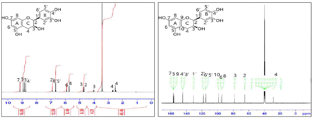 Sample D 1H, 13C NMR 결과