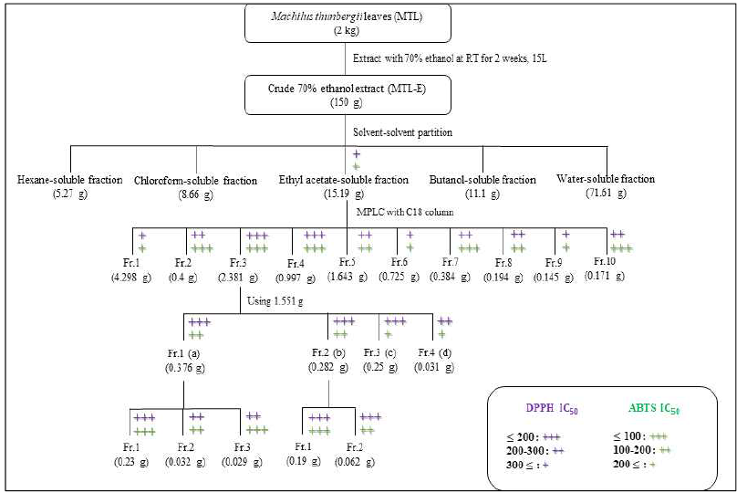 후박나무 잎 70% 에탄올 추출물 Fraction Diagram