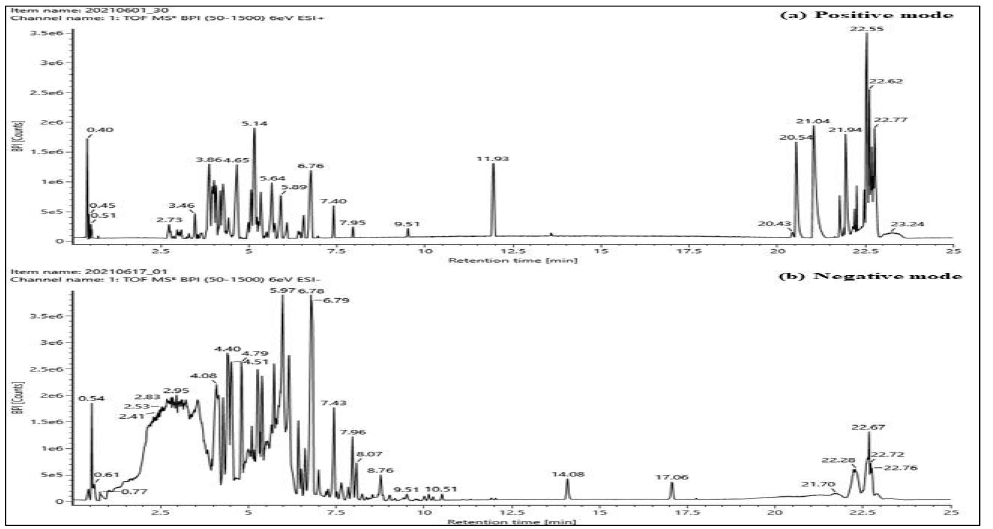 후박나무 70% 에탄올 추출물 EtOAc 분획-F3-(a)-1 Q-TOF-LC-MS/MS TIC (Total Ion Chromatogram)