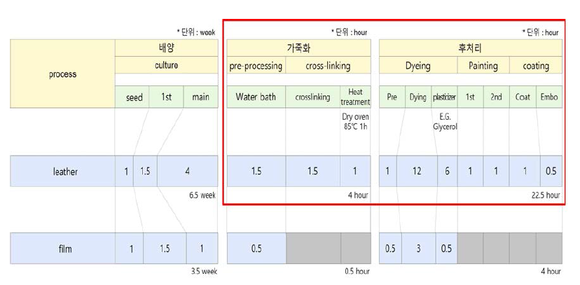 버섯 균사 가죽 후처리 프로세스