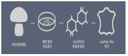 버섯 균사체의 가죽화 정의