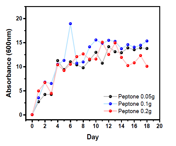 Peptone 농도 변화에 따른 균사체 성장변화