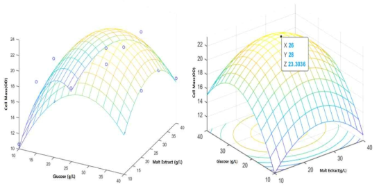 반응표면분석 결과 (좌) 세포 성장 농도(OD), (우) 최적 조건