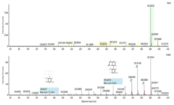 배양액 Ethyl acetate 분획물의 mass spectrum 결과