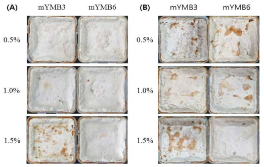 톱밥배지 첨가원과 함량에 따른 균막 형성 비교. (A) CaCO3, (B) n-acetyl glucosamine