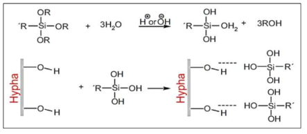 Silane treatment의 메커니즘