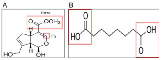 (A) Genipin과 (B) 디카르복실산의 구조