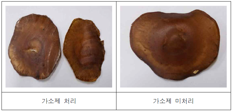 가압처리에 따른 표고버섯 자실체의 특성 변화