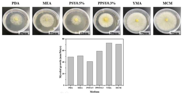 붉은덕다리버섯의 2차원 배양시 배지에 따른 균사체 성장
