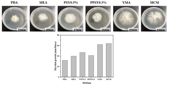 삼색도장버섯의 2차원 배양시 배지에 따른 균사체 성장