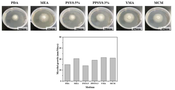소나무잔나비버섯의 2차원 배양시 배지에 따른 균사체 성장
