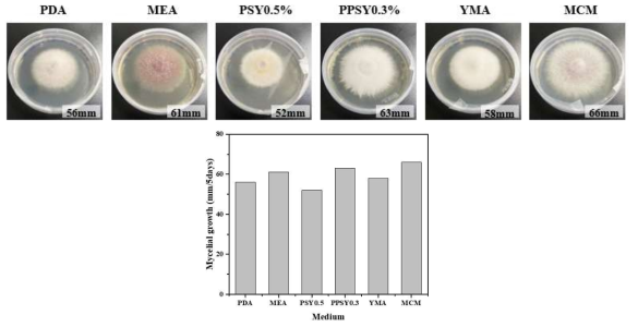 아까시재목버섯의 2차원 배양시 배지에 따른 균사체 성장