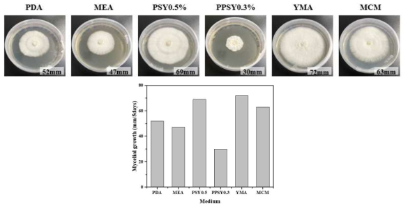 잔나비불로초의 2차원 배양시 배지에 따른 균사체 성장