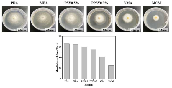 참바늘버섯의 2차원 배양시 배지에 따른 균사체 성장