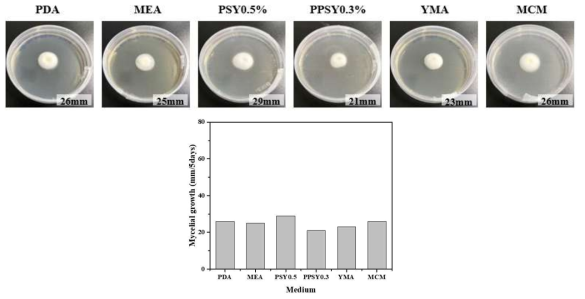 흰구름버섯의 2차원 배양시 배지에 따른 균사체 성장