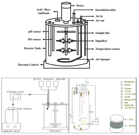 교반식 생물반응기 (stirred tank)