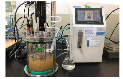 균사체 배양 시스템 개발을 위한 stirred tank 반응기
