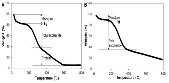 균사체의 TGA 분석 결과 (A) air, (B) N2