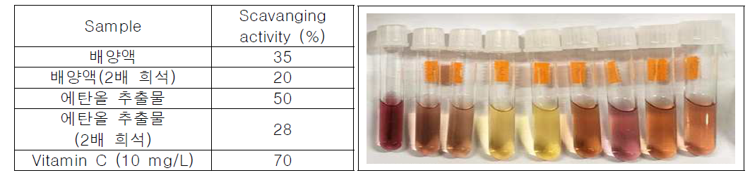 아까시재목버섯 배양액 상등액 추출물의 HPLC 분석 결과