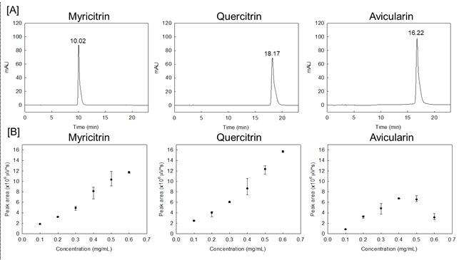 [A] Myricitrin, avicularin, quercitrin의 HPLC-UV 상 크로마토그램과 [B] 농도별 peak 면적