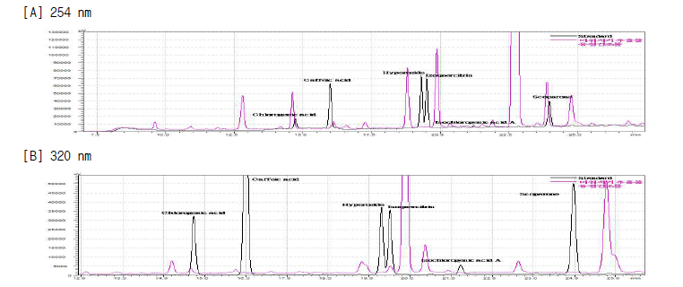 후보 6종 지표성분 표준물질과 더위지기 추출물 동결건조물의 파장별([A]254 nm, [B]320 nm) HPLC chromatogram