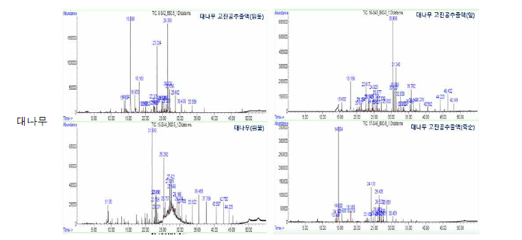 대나무의 GC-MS total ion chromatogram(TIC)