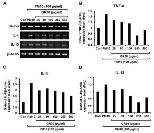 GR30이 호염기구 세포 (rat 호염기구세포, RBL-2H3세포)에서 사이토카인 발현에 미치는 영향. RBL-2H3세포를 지시된 용량의 GR30으로 2시간 동안 전처리한 후 PM10 (100 μg/ml)에 48시간 노출시킴. (A) TNF-α, IL-4, IL-13 mRNA 발현량은 RT-PCR로 평가함. (B) TNF-α, (C) IL-4, 및 (D) IL-13 사이토카인 mRNA발현량은 상응하는 내부 표준 (β-actin)에 대한 밀도 측정 비율로 표현됨