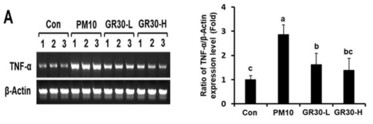 GR30의 폐 조직에서 PM10으로 유도된 TNF-α 발현억제 효능. (A) GR30을 21일 동안 경구투여하고, 압축분무기를 사용하여 PM10 (20 mg/ml in PBS, w/v)을 30분 동안 노출시킨, 정상 마우스는 PBS에 노출시킴. (B) PM10에 노출된 마우스에서 GR30이 TNF-α mRNA 발현 수준에 미치는 영향