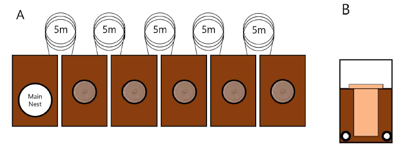 군체 단위 예찰제어기 성능 검증을 위한 모니터링 및 방제 실험 디자인(A: 평면도 / B: 투시도)