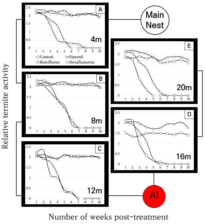서로 다른 살균 처리를 적용한 후 10주 동안 평면 영역에서 상대적인 흰개미 활동과 대조군의 활동도 표시한그림입니다. 메인 둥지를 출발점으로 고려해 각 화면은 4m 플라스틱 튜브(검은 선)로 다음 화면과 연결되고, 2m 플라스틱 튜브는 AI 항아리 측면에 스크린 C와 D를 연결한다. 선 그래프는 상대적 흰개미 활동(흰개미의 수, 데이터 로그(X + 1) 변환), n = 3 군집을 나타냅니다