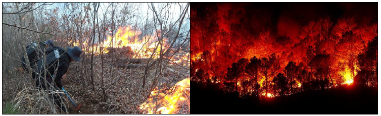 산불의 원인: (좌) 가을철 낙엽으로 인한 화재 (우) 2019년 강원도 산불 (출처:Pixabay)