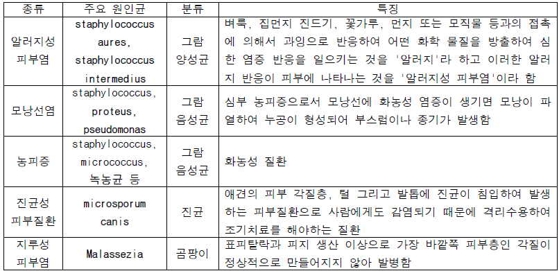 세균성 피부 질환의 주요 원인균 및 특징