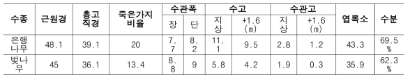 측정된 벚나무와 은행나무의 평균 생육 정보