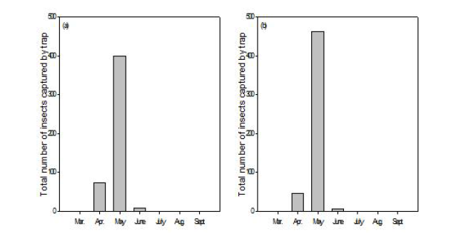 소나무검정좀붙이의 소나무 임분에서의 월별 발생량(a) 및 일본잎갈나무 임분에서의 월별 발생량(b)