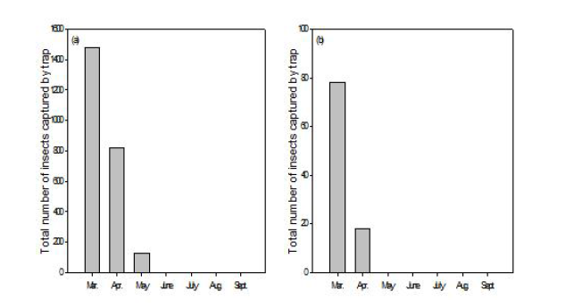 소나무좀의 소나무 임분에서의 월별 발생량(a) 및 일본잎갈나무 임분에서의 월별 발생량(b)