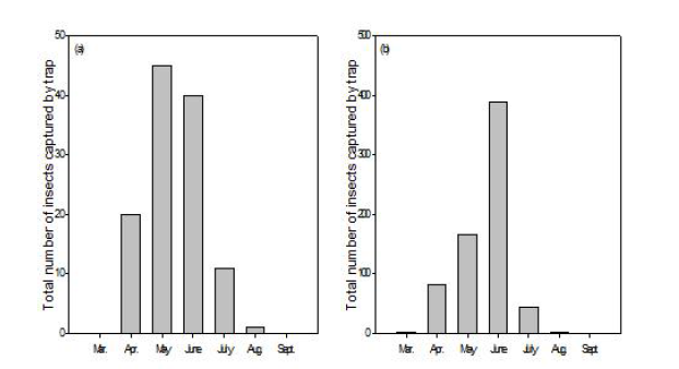 암브로시아나무좀의 소나무 임분에서의 월별 발생량(a) 및 일본잎갈나무 임분에서의 월별 발생량(b)