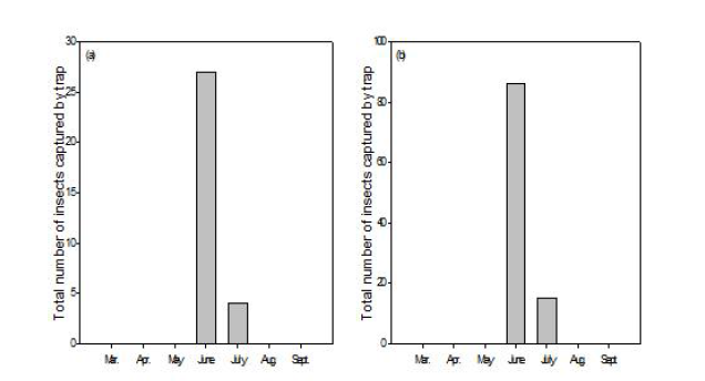 동백나무좀의 소나무 임분에서의 월별 발생량(a) 및 일본잎갈나무 임분에서의 월별 발생량(b)