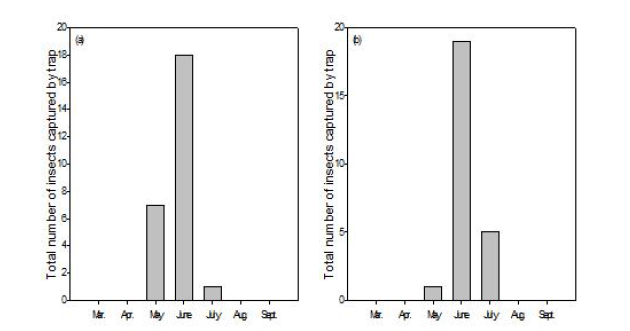 북방수염하늘소의 소나무 임분에서의 월별 발생량(a) 및 일본잎갈나무 임분에서의 월별 발생량(b)