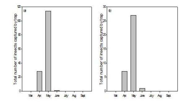 소나무하늘소의 소나무 임분에서의 월별 발생량(a) 및 일본잎갈나무 임분에서의 월별 발생량(b)