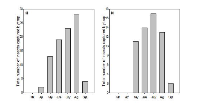 솔곰보바구미의 소나무 임분에서의 월별 발생량(a) 및 일본잎갈나무 임분에서의 월별 발생량(b)