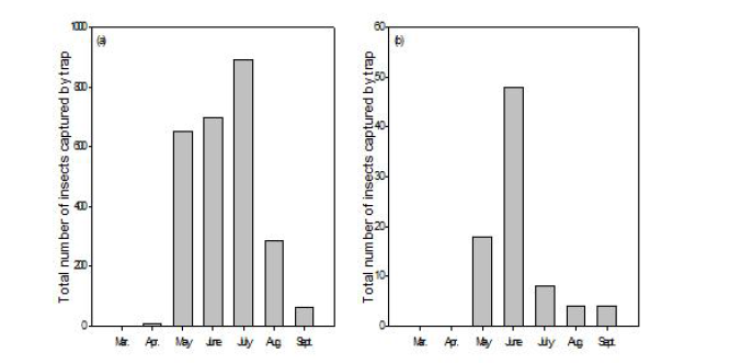 Shirahoshizo group의 소나무 임분에서의 월별 발생량(a) 및 일본잎갈나무 임분에서의 월별 발생량(b)