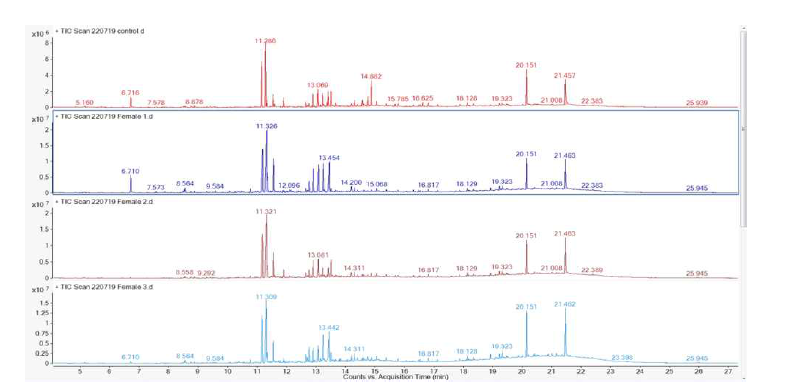 대조구(최상단) 및 털두꺼비하늘소 암컷(하단 3반복) 휘발물질에 대한 GC-MS 분석결과