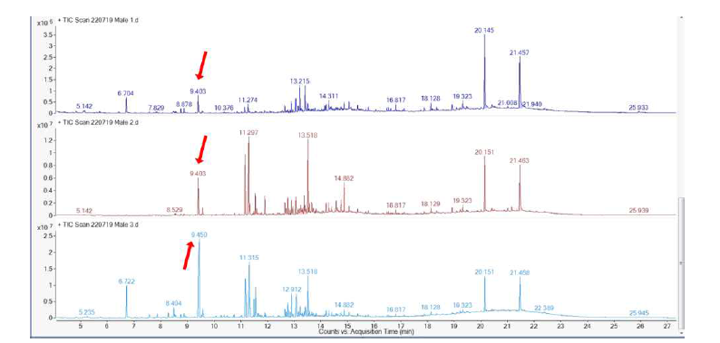 털두꺼비하늘소 수컷(3반복) 휘발물질에 대한 GC-MS 분석 결과