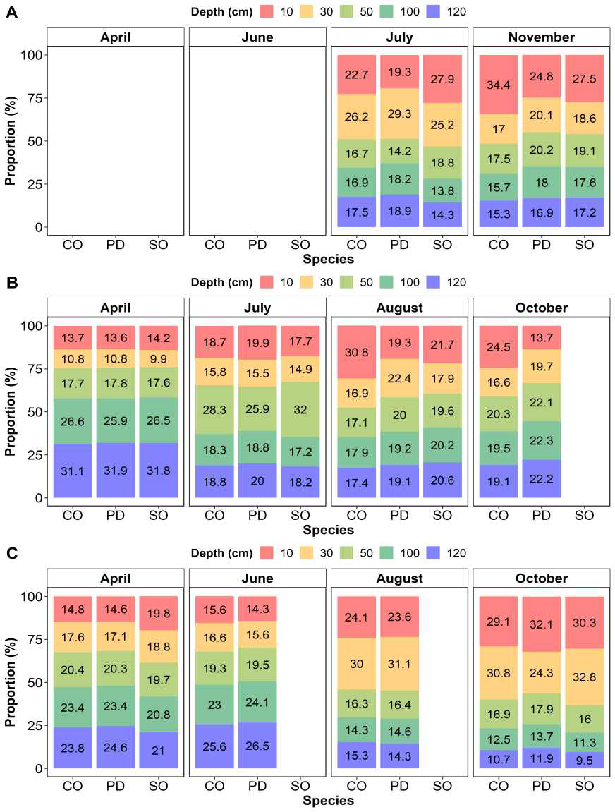 침엽수림 내 소나무(PD), 편백(CO), 쪽동백나무(SO)의 계절별 수분 이용 및 깊이별 기여율 (A: 2016년, B: 2017년, C:2018년)