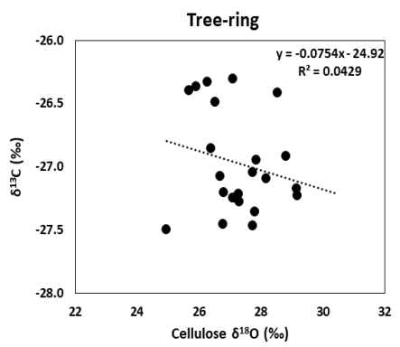 소나무 나이테의 셀룰로오스 산소와 탄소 안정동위원소